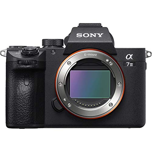 SONY A7III (A7M3)