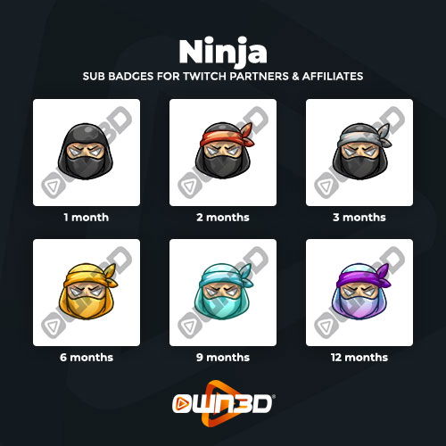 Ninja