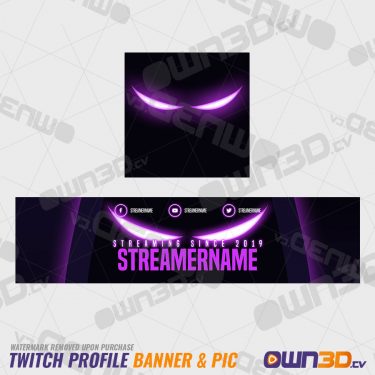 Raven Twitch Profile Banner