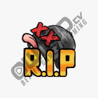 RIP Helmet – PUBG