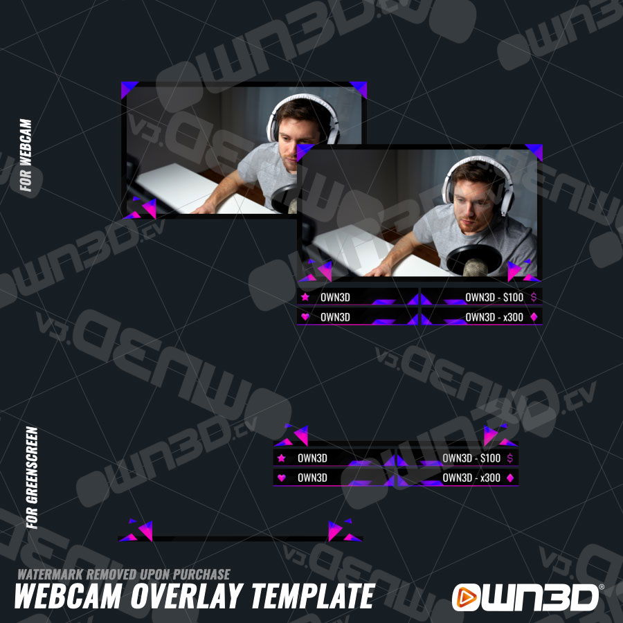 Animated Zenith Webcam Overlays